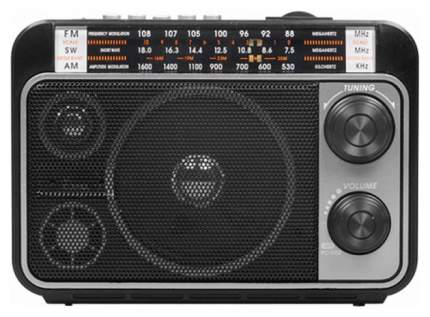 Радиоприемник Ritmix RPR-171 Black