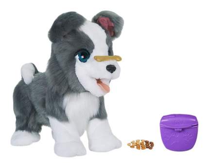 Furry friends hot sale toy dog