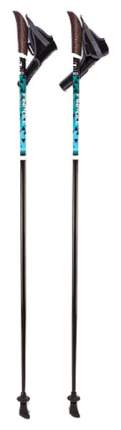 Палки для скандинавской ходьбы Finpole Nero, черный/голубой, 110 см