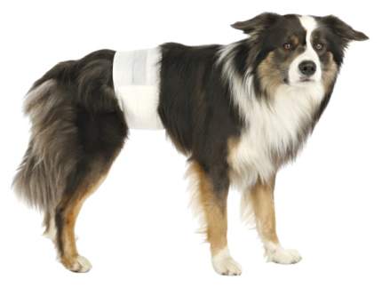 Подгузники для домашних животных TRIXIE для собак одноразовое 