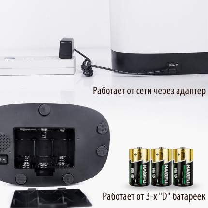 Автокормушка Petwant для сухого корма с Wi-Fi и видеокамерой (4,3 л,)