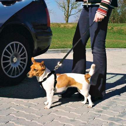 Ремень безопасности для собак TRIXIE, автомобильный, обхват живота/груди: 80-110 см, XL