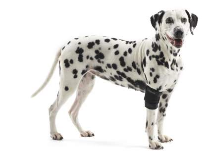 Протектор для собак Kruuse Rehab Elbow Protector на локтевой сустав, черный, S