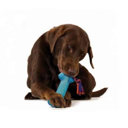 Жевательная игрушка для собак Petstages ОРКА косточка большая, синяя, 23 см