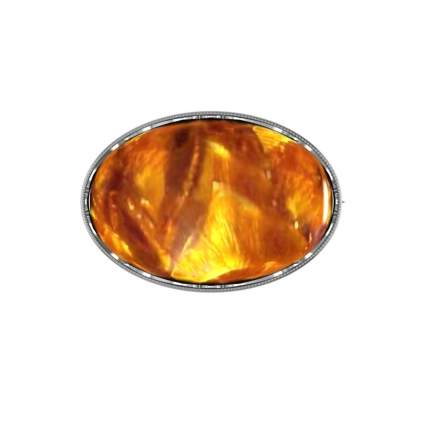 Брошь выполнена из серебра 925 пробы, покрытие оксид, вставки 1 янтарь прессованный, вес 13,57   ...