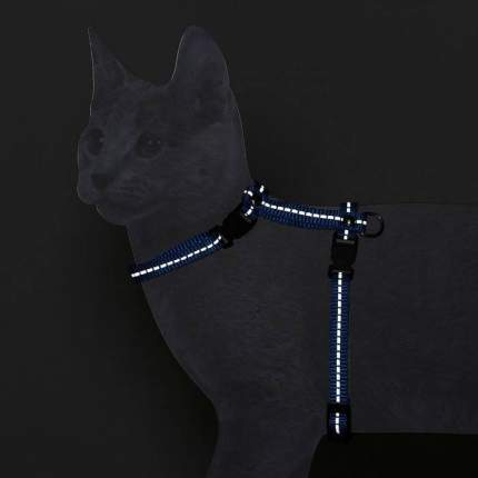 Купить шлейки для кошек в Перми — интернет магазин «Мой зверь»