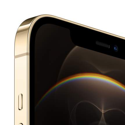 iPhone 12 Pro Max - купить Айфон 12 Про Макс, цены на Мегамаркет