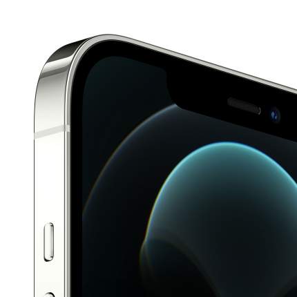 iPhone 12 Pro Max - купить Айфон 12 Про Макс, цены на Мегамаркет