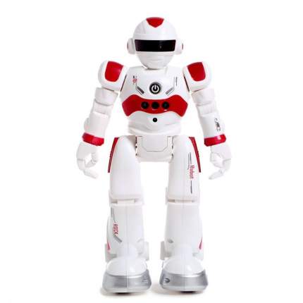 Роботы на радиоуправлении 🤖 Купить игрушку робот на пульте управления 💥 tdksovremennik.ru