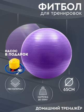 Гимнастический мяч (фитбол) Solmax 65 см фиолетовый с насосом в комплекте