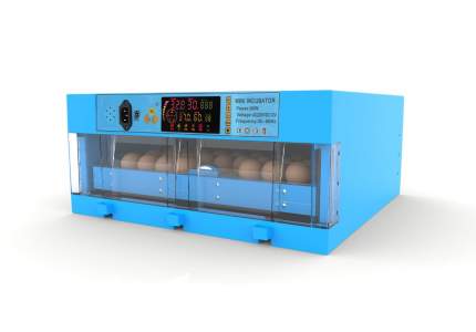 Инкубатор автоматический WQ на 64 яиц, пластик, синий