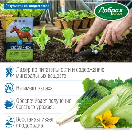 Органические удобрения из конского навоза - купить органические удобрения  из конского навоза в Москве, цены на Мегамаркет