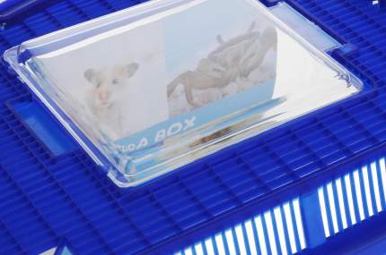Аквариум-террариум Fauna International Aqua-Terra Box, с ручками, в ассортименте, 1,3 л