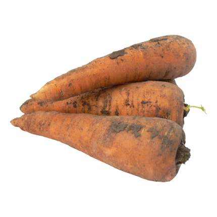Морковь Эконом 0,5 кг