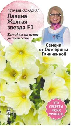 Выращивание петунии в домашних условиях, семенами и на рассаду | Агро Сіті