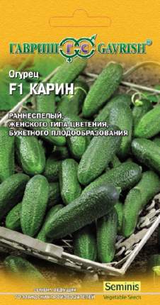 Особенности посадки овощной культуры на огородные грядки