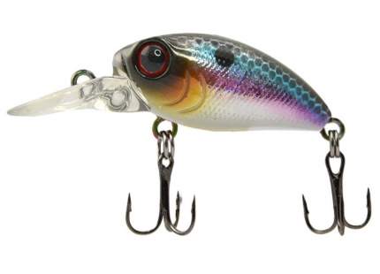 Ратимор-приманка (Ratimor-lure): отзывы, преимущества и инструкция по применению