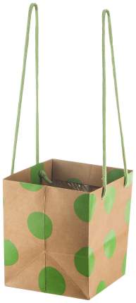 Материал: бумага, Цвет производителя: Twig Dotty, Тип: пакет, Цвет:   ...