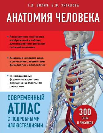Книга Анатомия человека. Современный атлас с подробными иллюстрациями