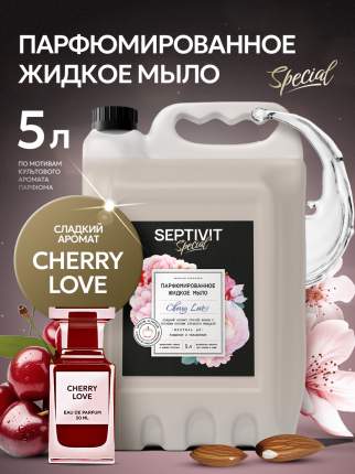 Парфюмированное мыло Septivit Special Cherry Love, 5 л