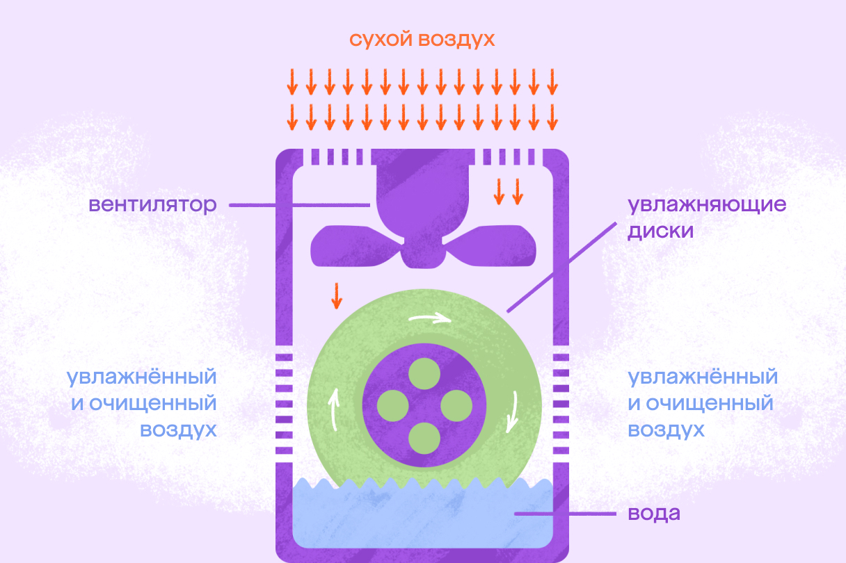 Мойка воздуха или очиститель воздуха: в чем разница? | Мегамаркет |