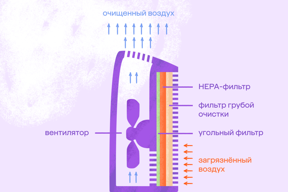 Мойка воздуха или очиститель воздуха: в чем разница? | Мегамаркет |