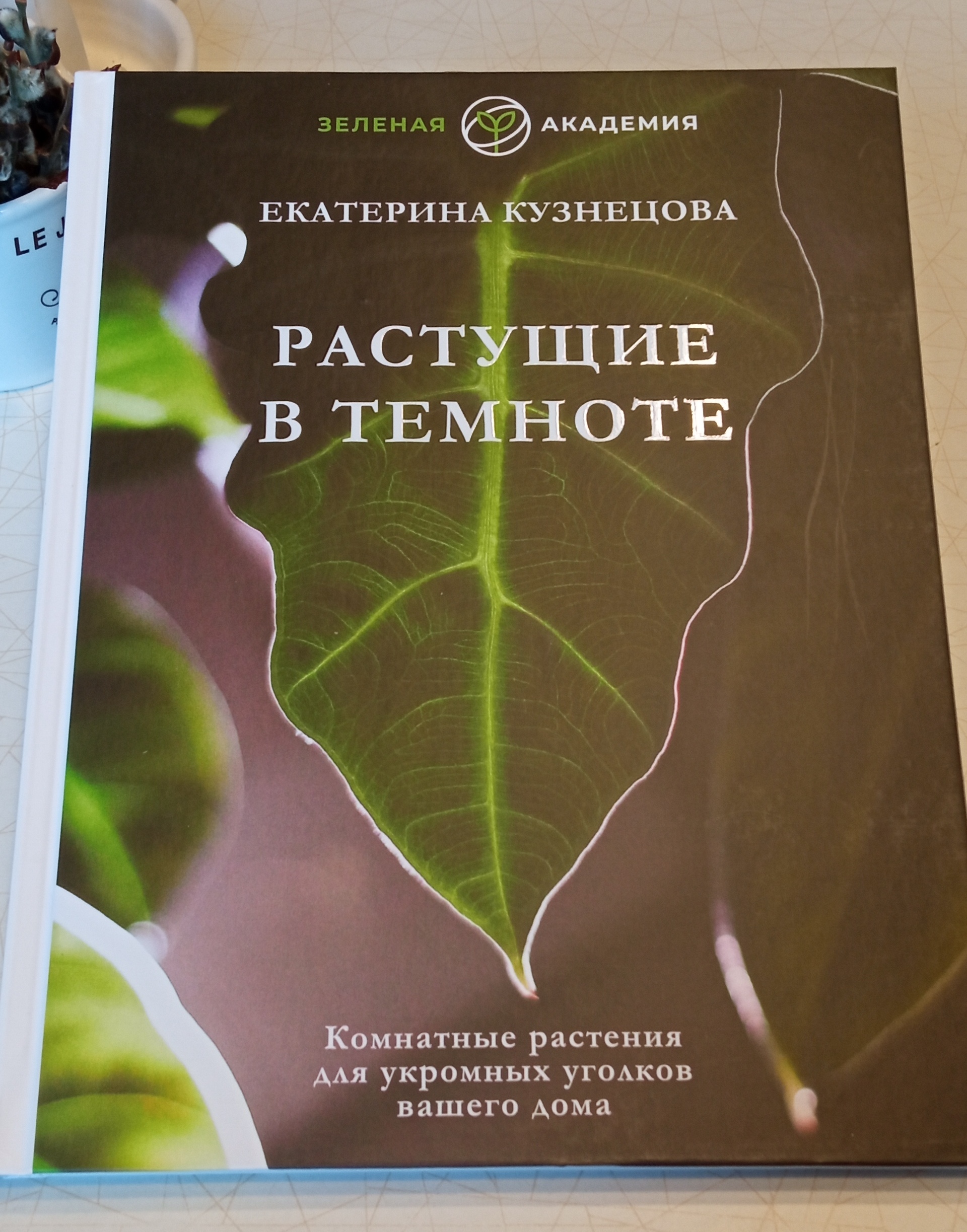 Растущие в темноте. Комнатные растения для укромных уголков вашего дома -  отзывы покупателей на маркетплейсе Мегамаркет | Артикул: 600011429954