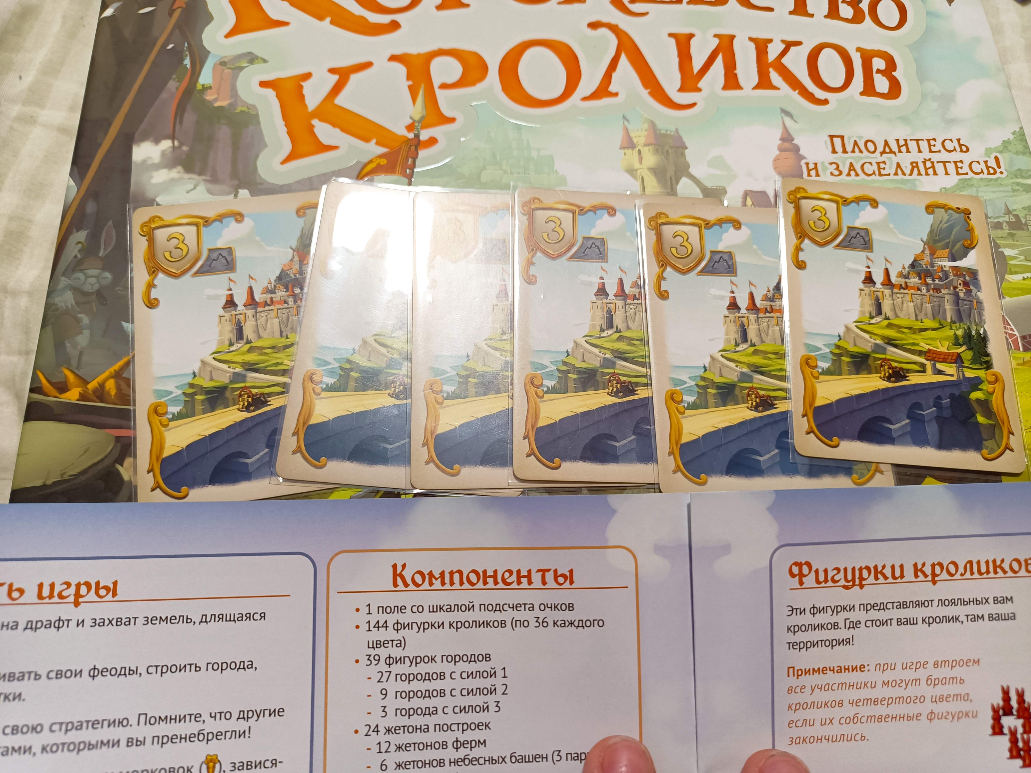 Gaga Games Серия игр Королевство Кроликов - купить настольная игра Gaga  Games Королевство Кроликов Комплект База + В облаках, цены в Москве на  Мегамаркет