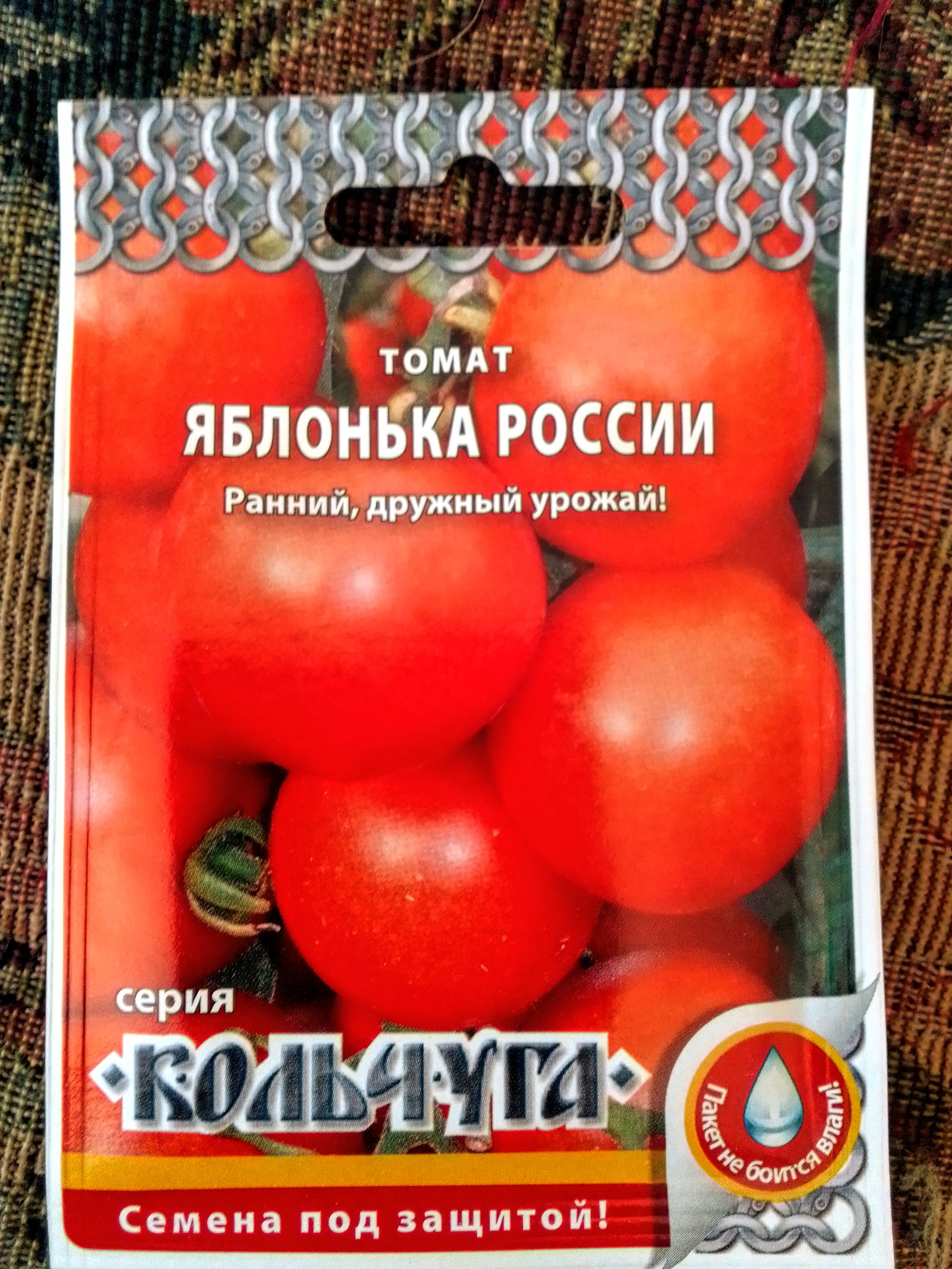 Сорт томатов яблонька россии