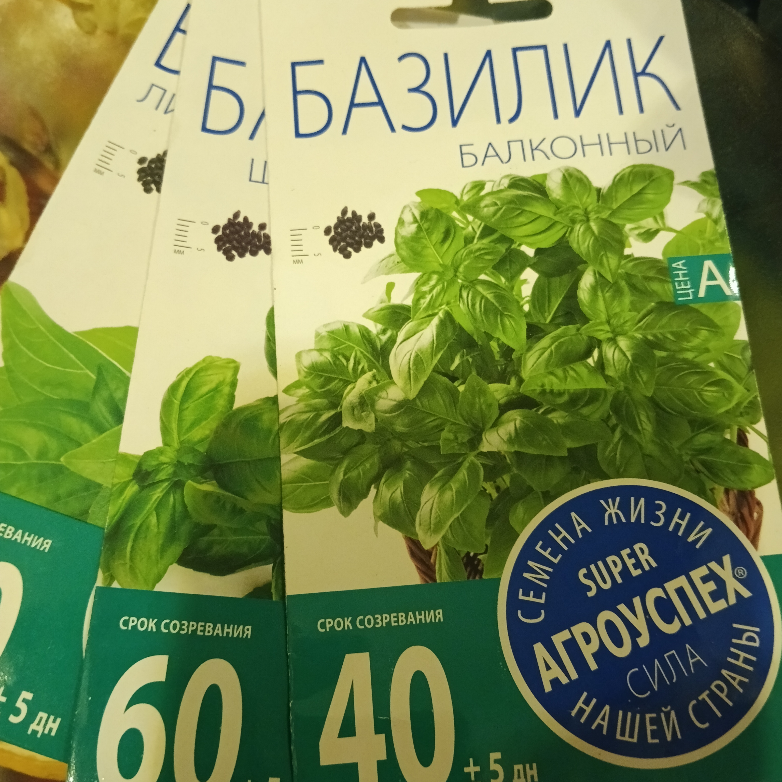 Семена базилик Агроуспех Балконный 1 уп. - отзывы покупателей на Мегамаркет  | 100044329736