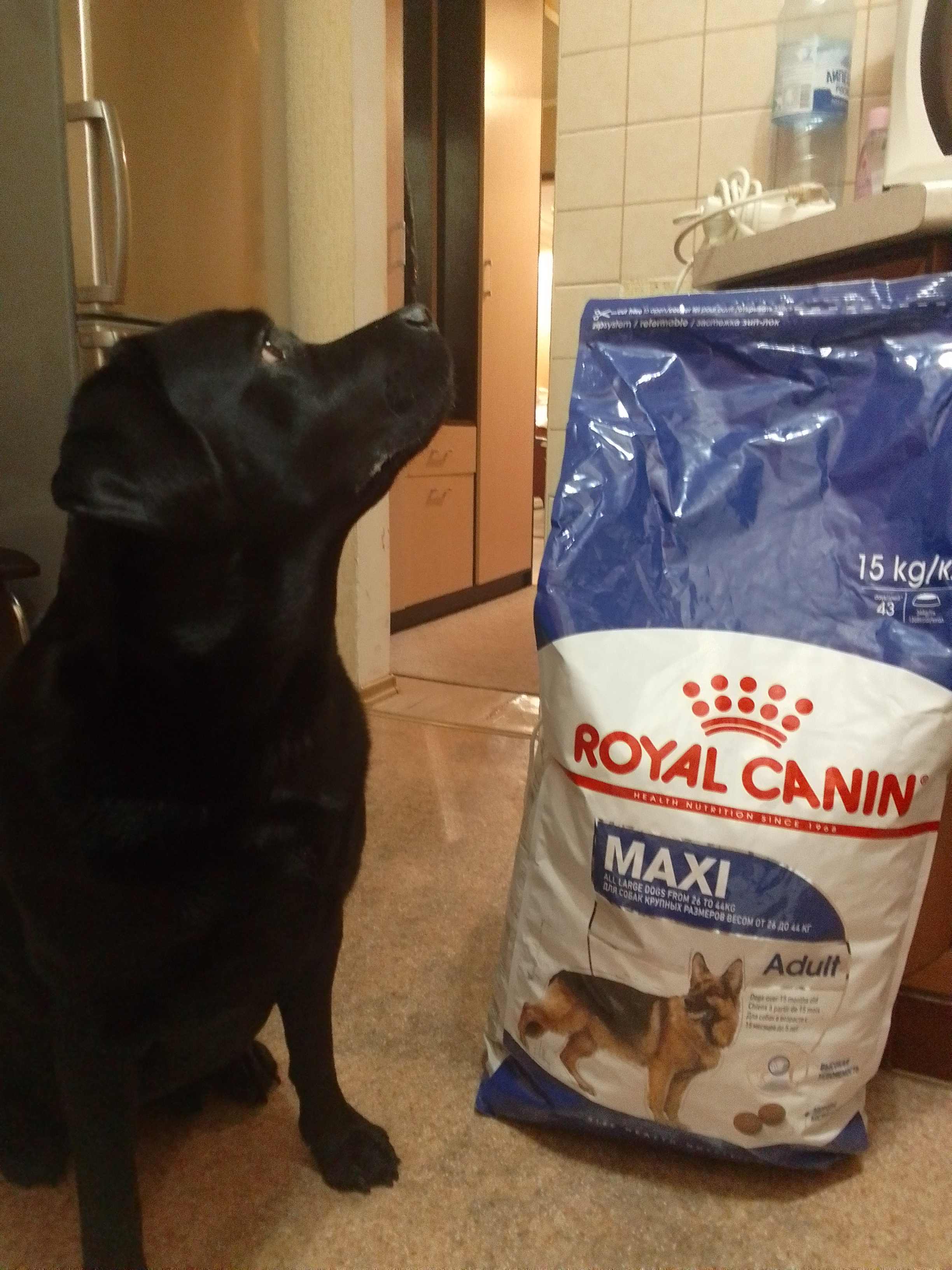 Royal canin store maxi adult 15kg