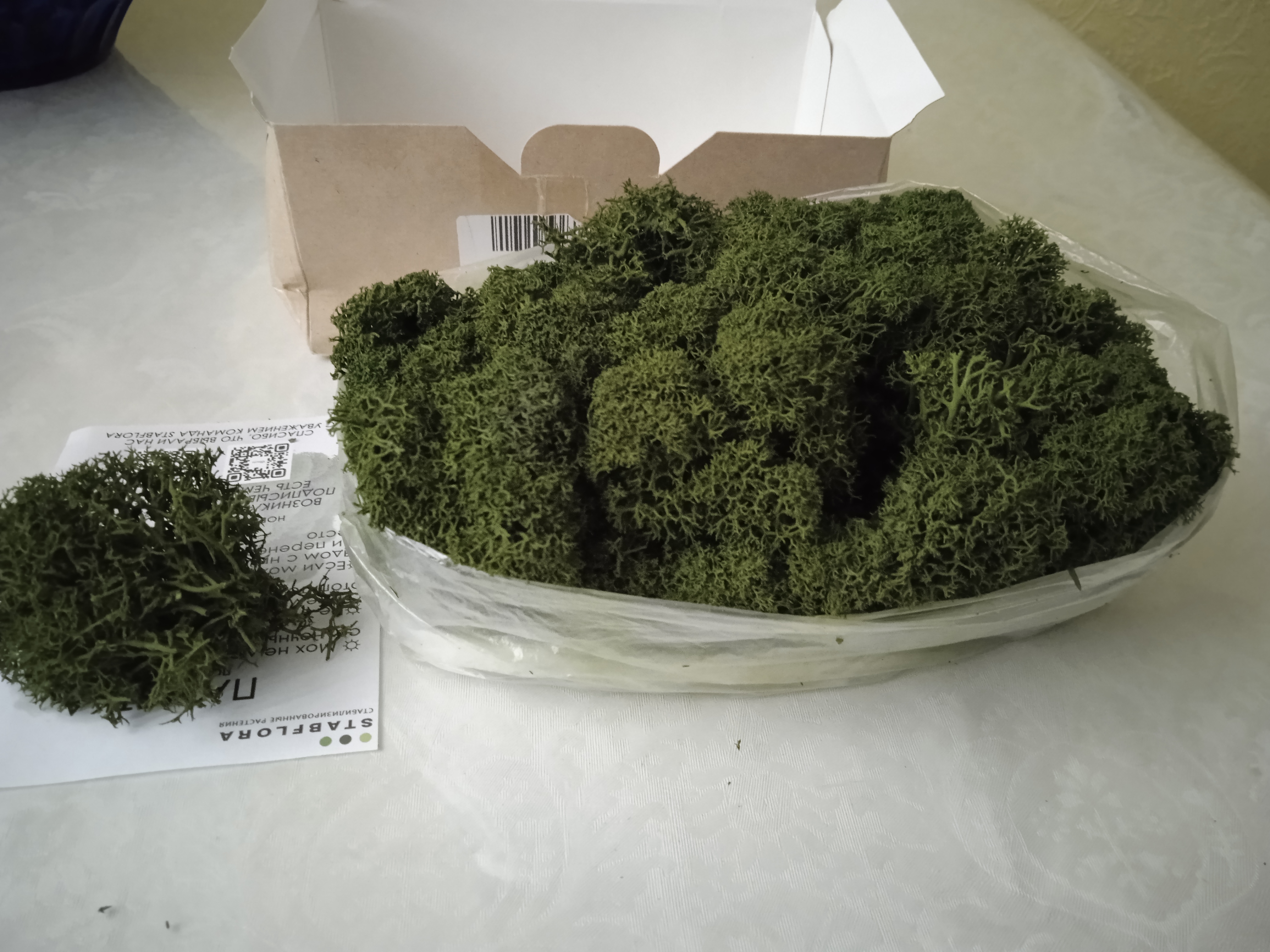 Панели из стабилизированного мха в интерьере ванной