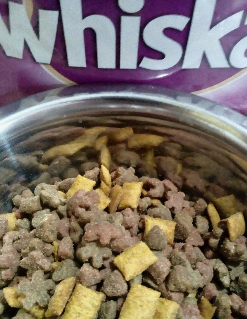 Сухой корм для кошек Whiskas, подушечки с паштетом, ассорти с курицей и  индейкой, 0,35г - отзывы покупателей на маркетплейсе Мегамаркет | Артикул  товара:100001280678