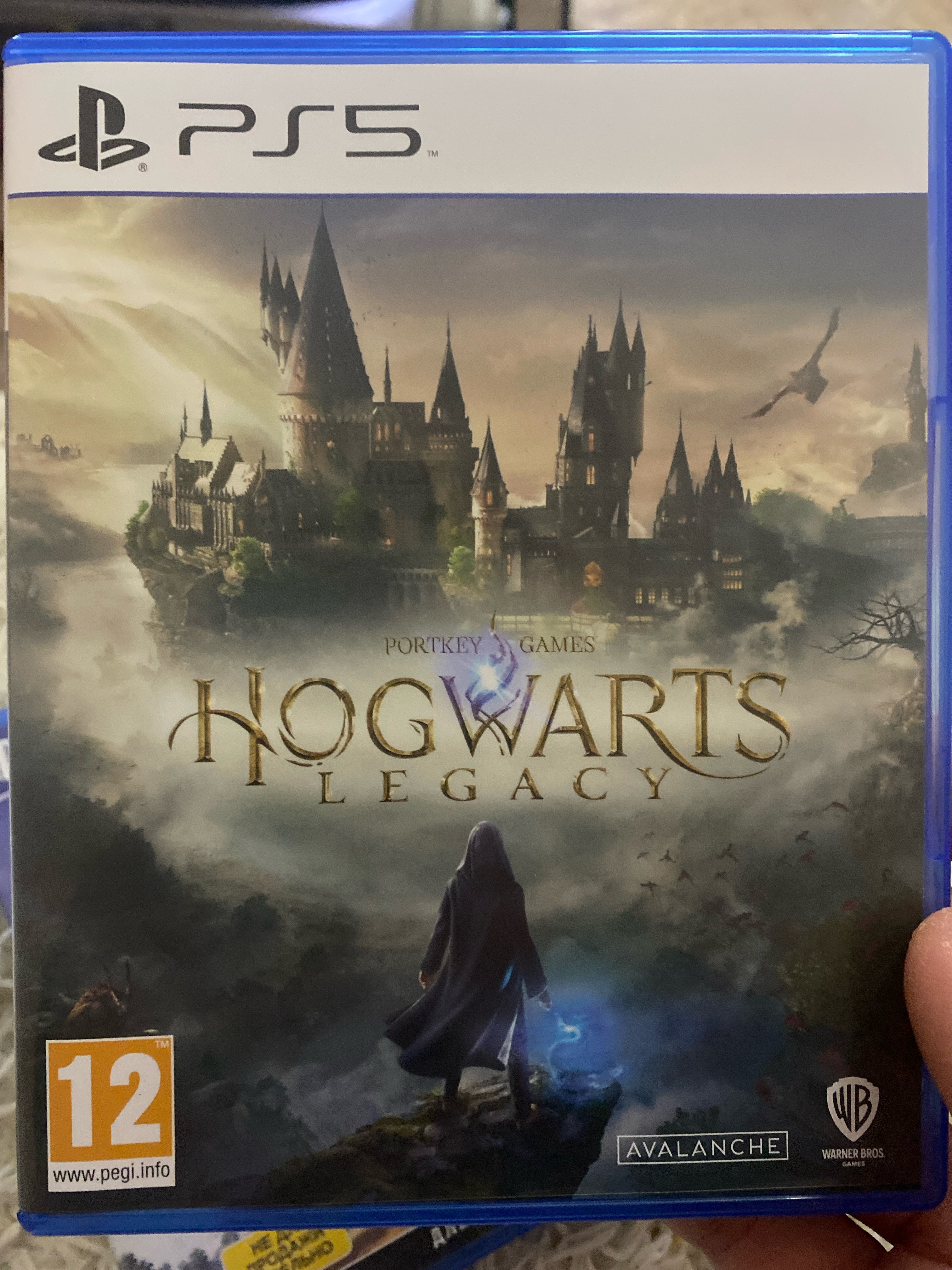 Игра Hogwarts Legacy для PlayStation 5 - купить в Terra-Game, цена на  Мегамаркет