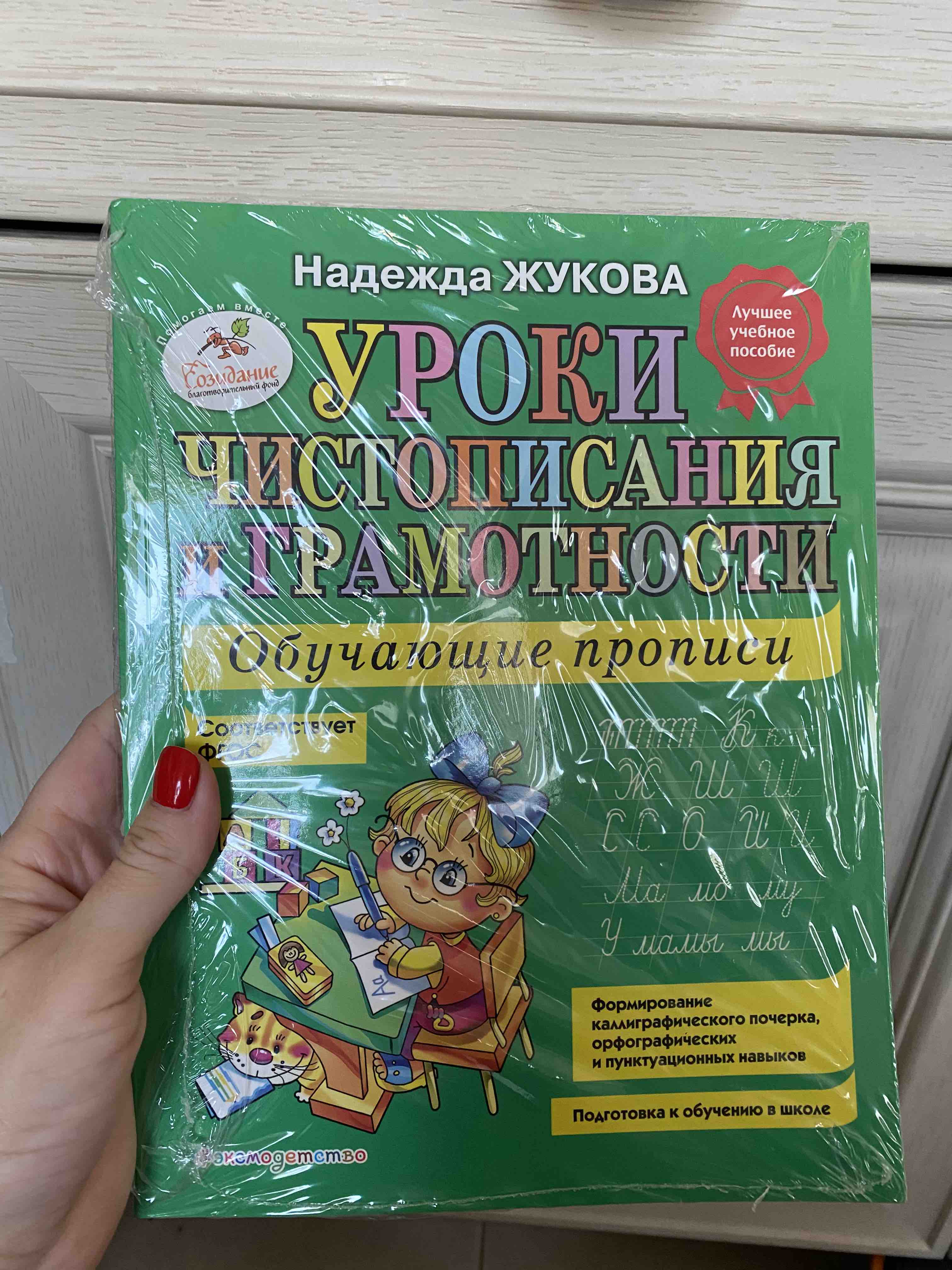 Уроки Чистописания и Грамотности: Обучающие прописи - отзывы покупателей на  маркетплейсе Мегамаркет | Артикул: 100023075595