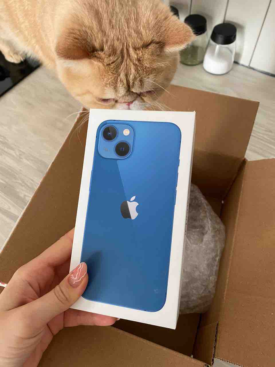 Смартфон Apple IPhone 13 128Gb Blue - отзывы покупателей на маркетплейсе  Мегамаркет | Артикул: 100049930661