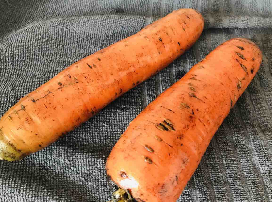 Публикация «Мастер-класс по изготовлению „Морковки для зайчат“» размещена в разделах