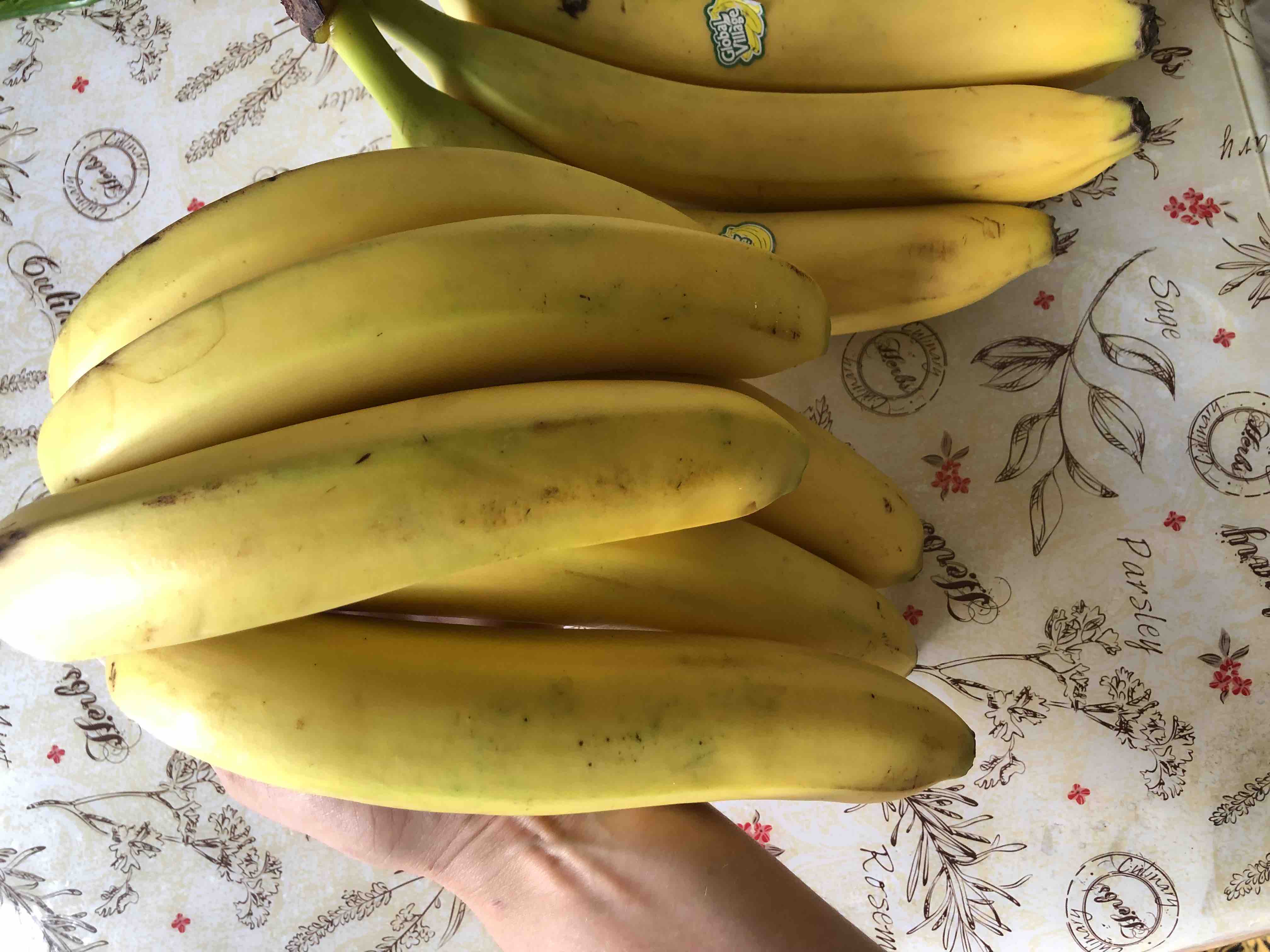 Эквадор бананы. Frutadeli бананы Эквадор. Melina Bananas Ecuador. Бананы из Эквадора и пауки.