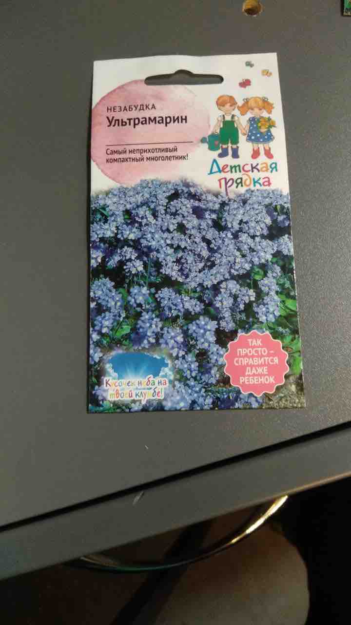 Семена незабудка АгроСидсТрейд Ультрамарин T03218-AGS 1 шт. - купить в  Москве, цены на Мегамаркет | 600008642188