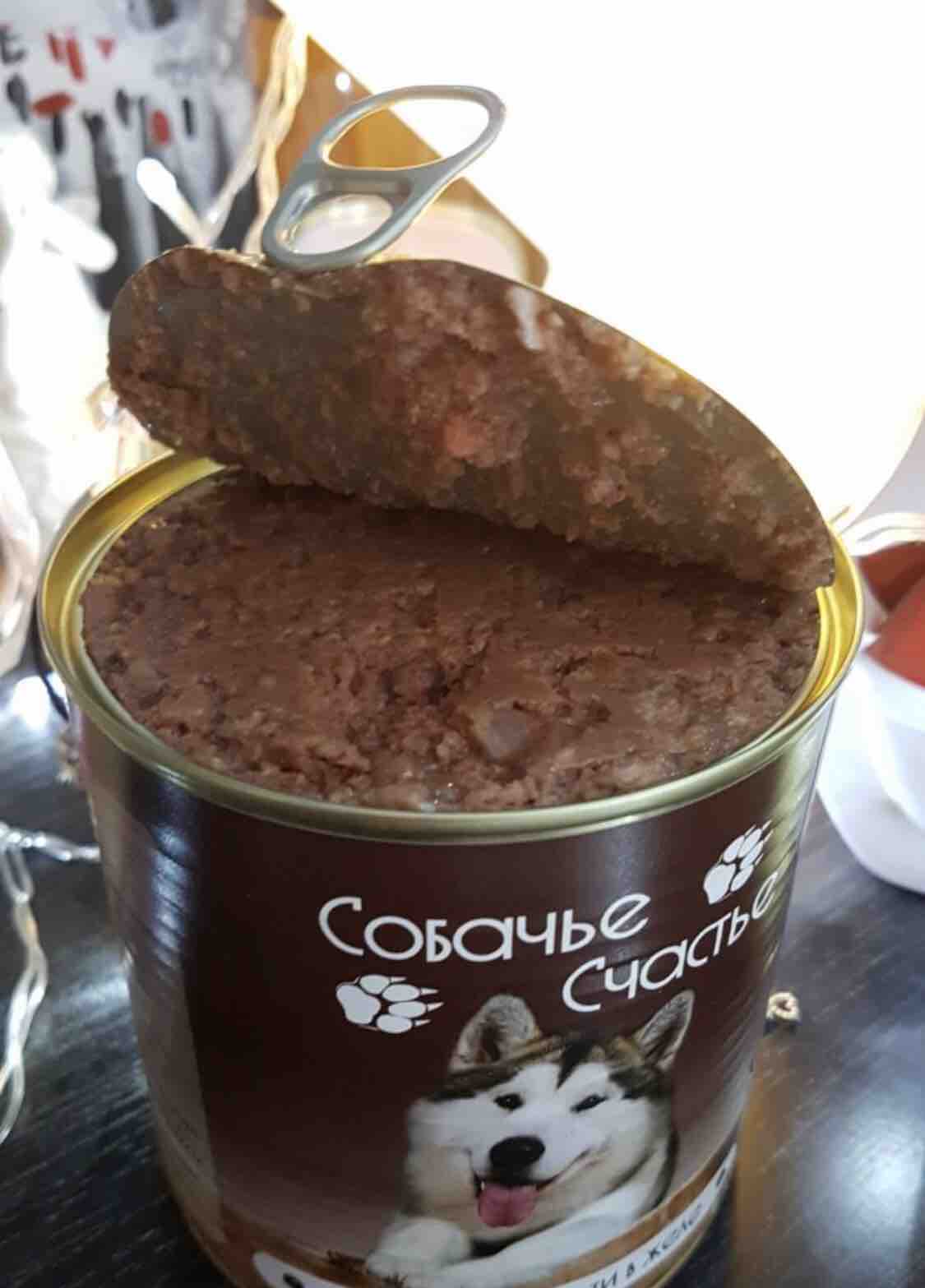 День собачьего печенья