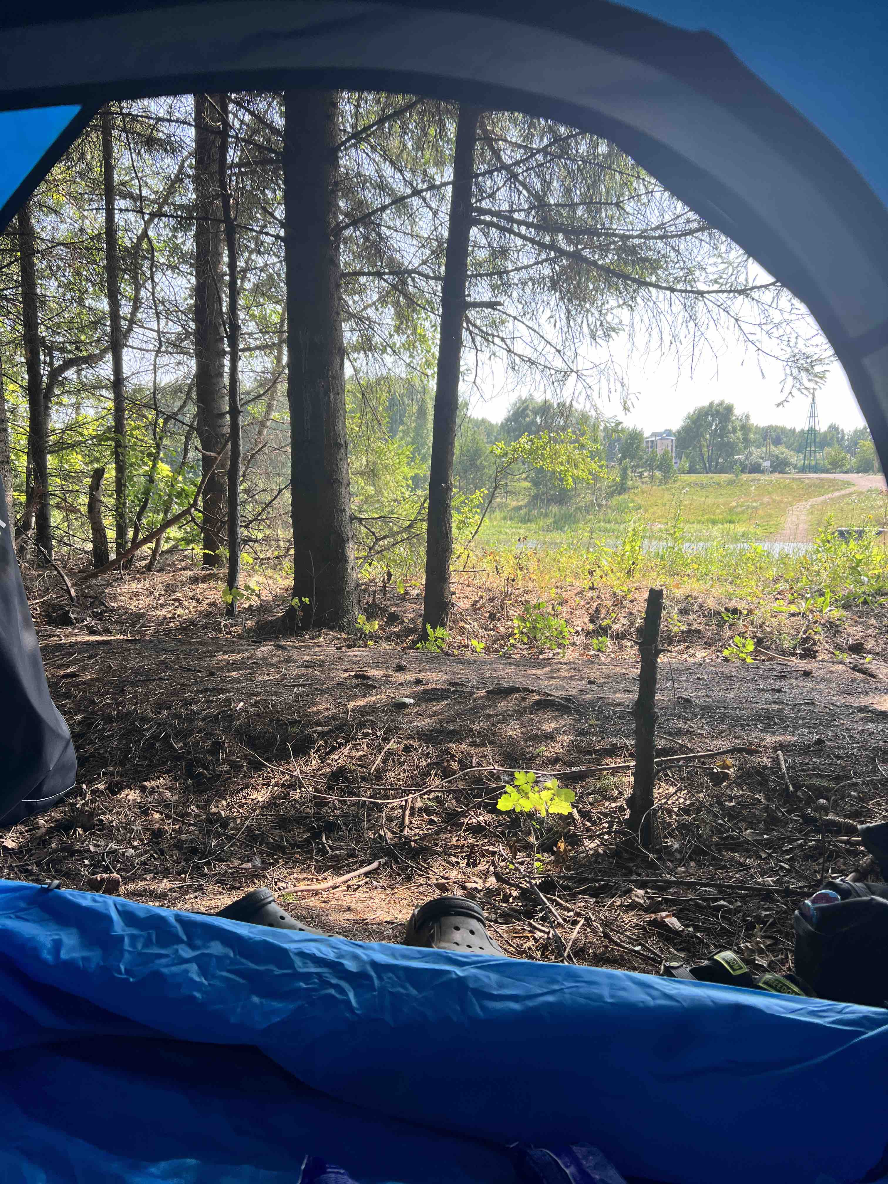 Палатка Naturehike автоматическая, на 3 человека, синяя - отзывы  покупателей на Мегамаркет | 100049216434