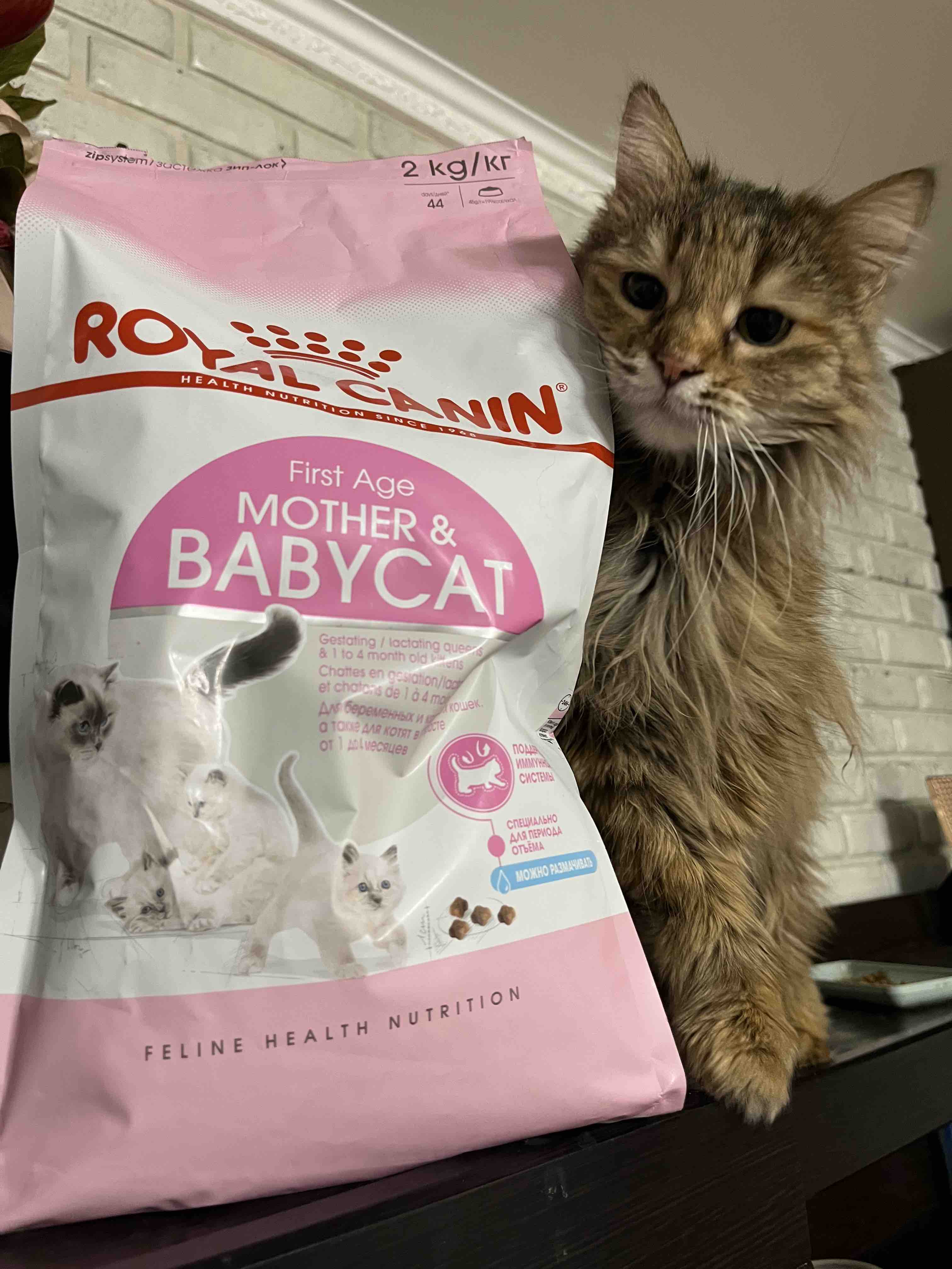 Сухой корм для котят и кормящих кошек ROYAL CANIN Mother&Babycat, домашняя  птица, 2кг - отзывы покупателей на маркетплейсе Мегамаркет | Артикул  товара:100013205642