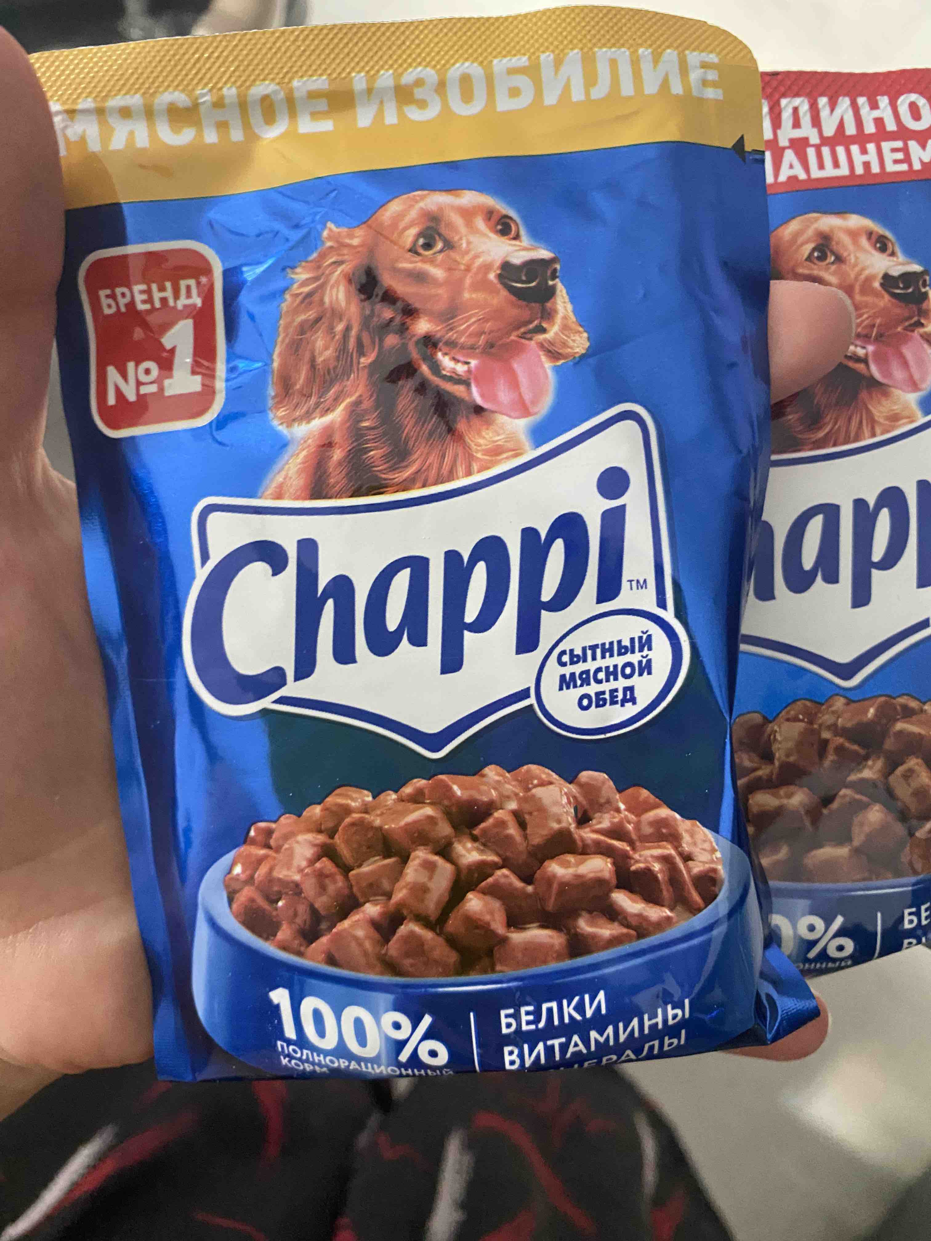 Купить влажный корм для собак Chappi мясное изобилие, 85 г, цены на  Мегамаркет | Артикул: 100032809581