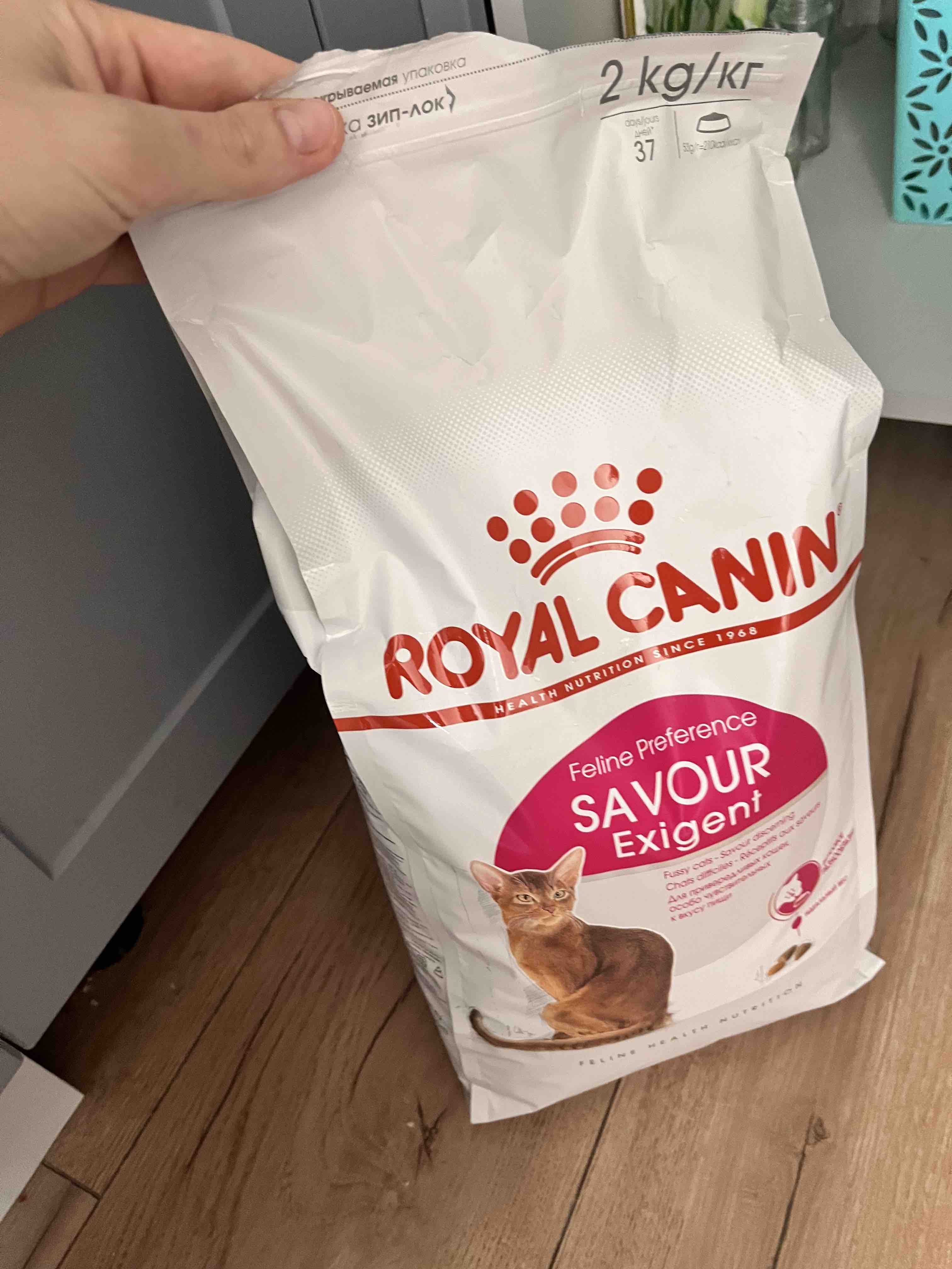 Royal canin hot sale savour exigent