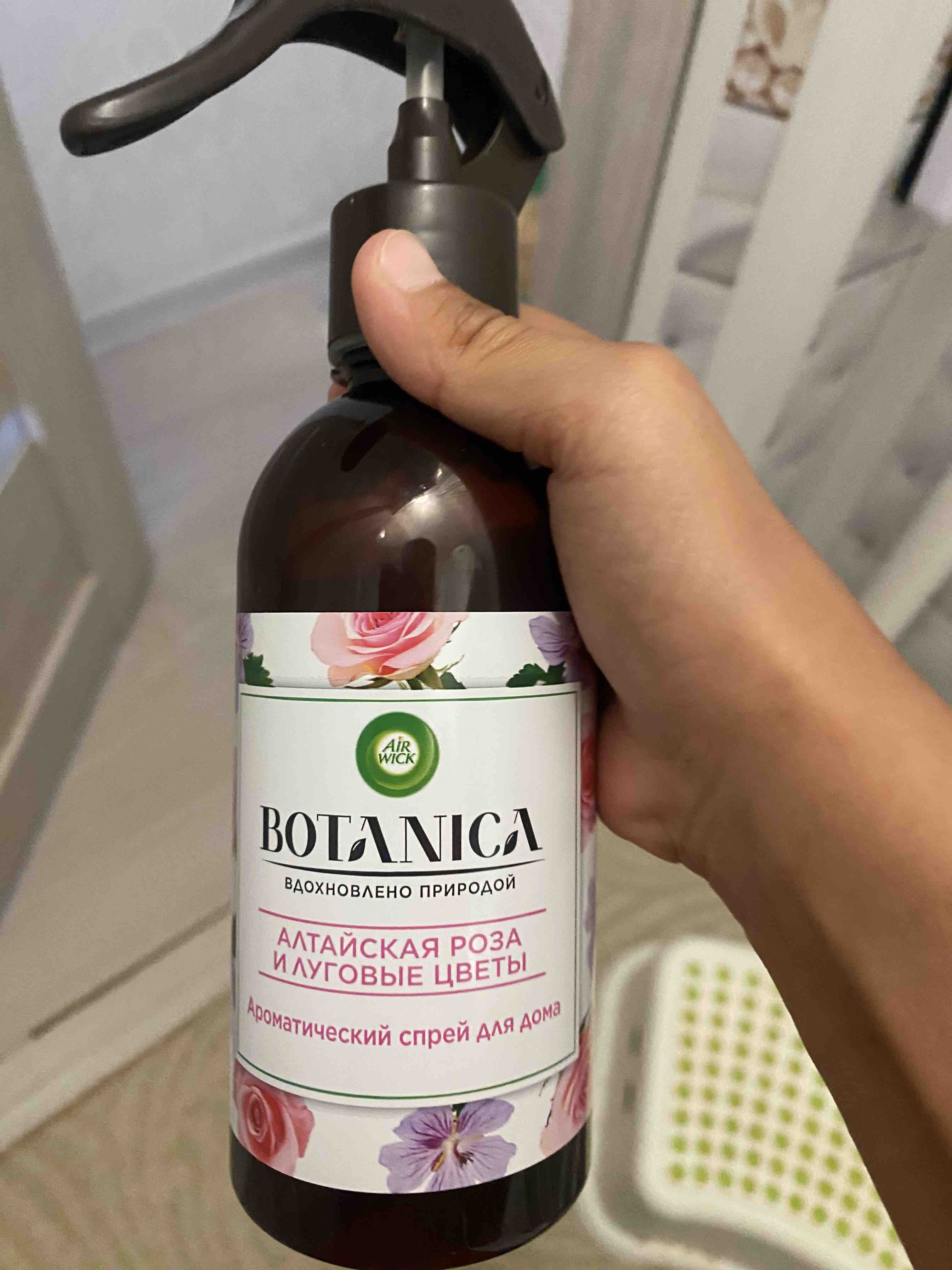 Ароматический спрей Air Wick Botanica Алтайская роза и луговые цветы 236мл  - отзывы покупателей на Мегамаркет | 100028022463