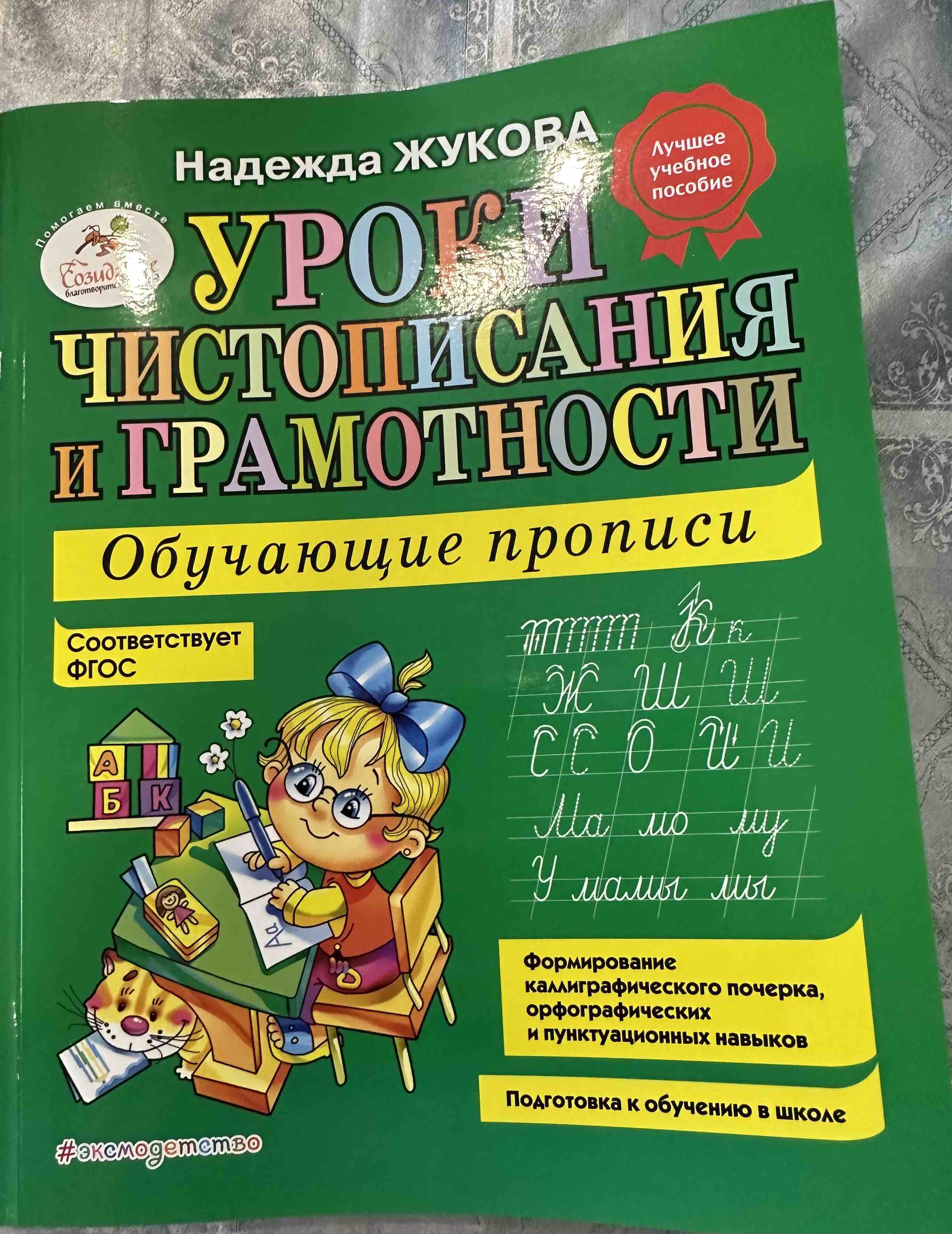 Уроки Чистописания и Грамотности: Обучающие прописи - отзывы покупателей на  маркетплейсе Мегамаркет | Артикул: 100023075595