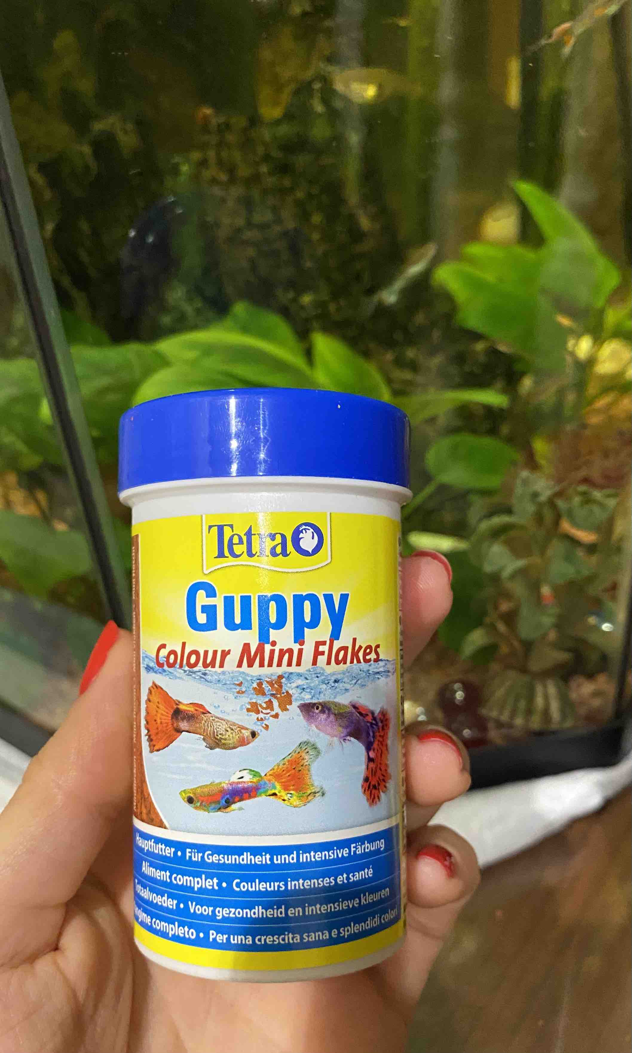 tetra guppy mini flakes, корм для гуппи тетра, корм для рыбок гуппи тетра, mini guppy сша