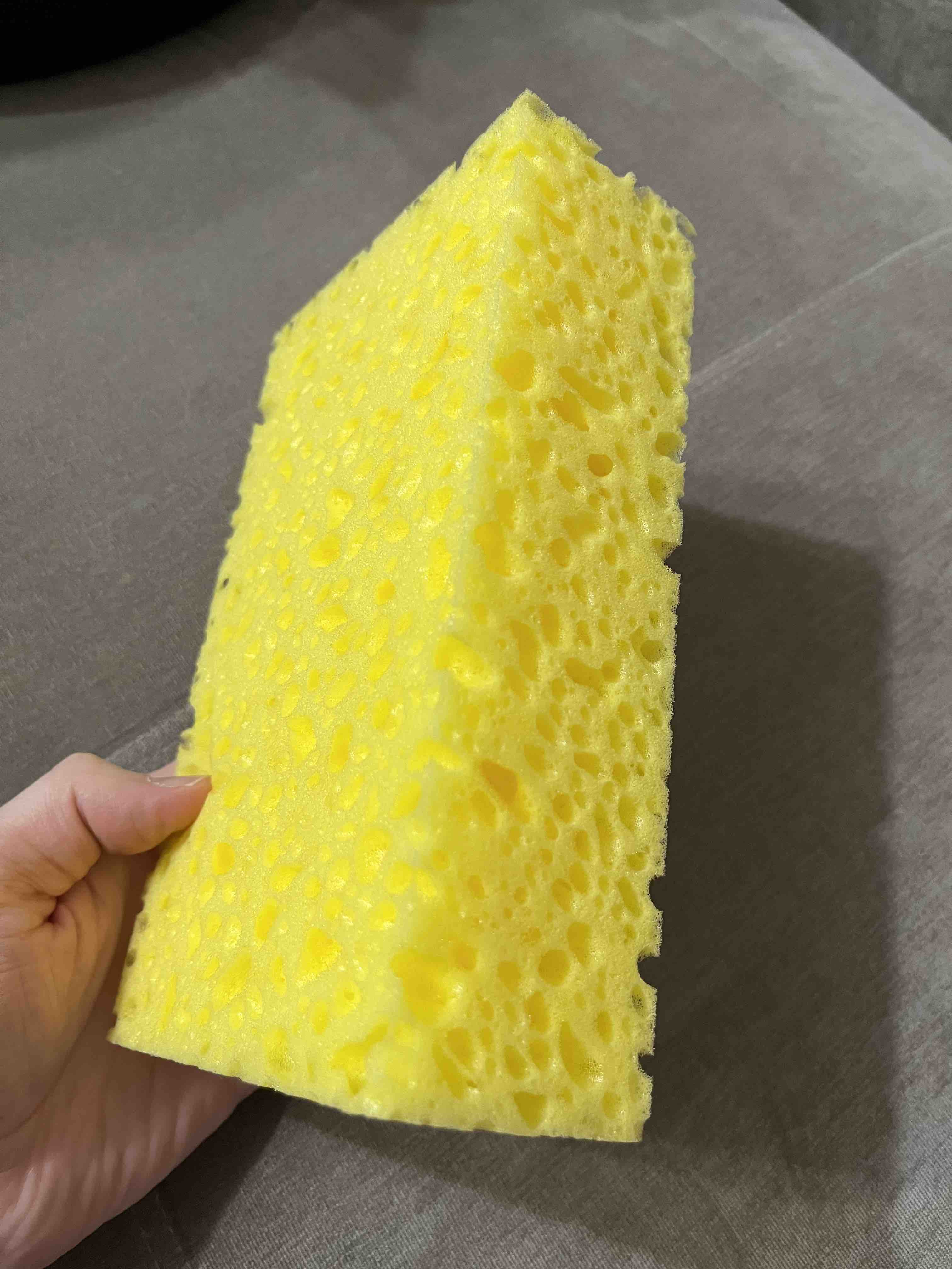 Wash Sponge - губка крупноячеистая для мойки кузова 20*12*6 см Shine  Systems SS819 - отзывы покупателей на Мегамаркет | 600003681713