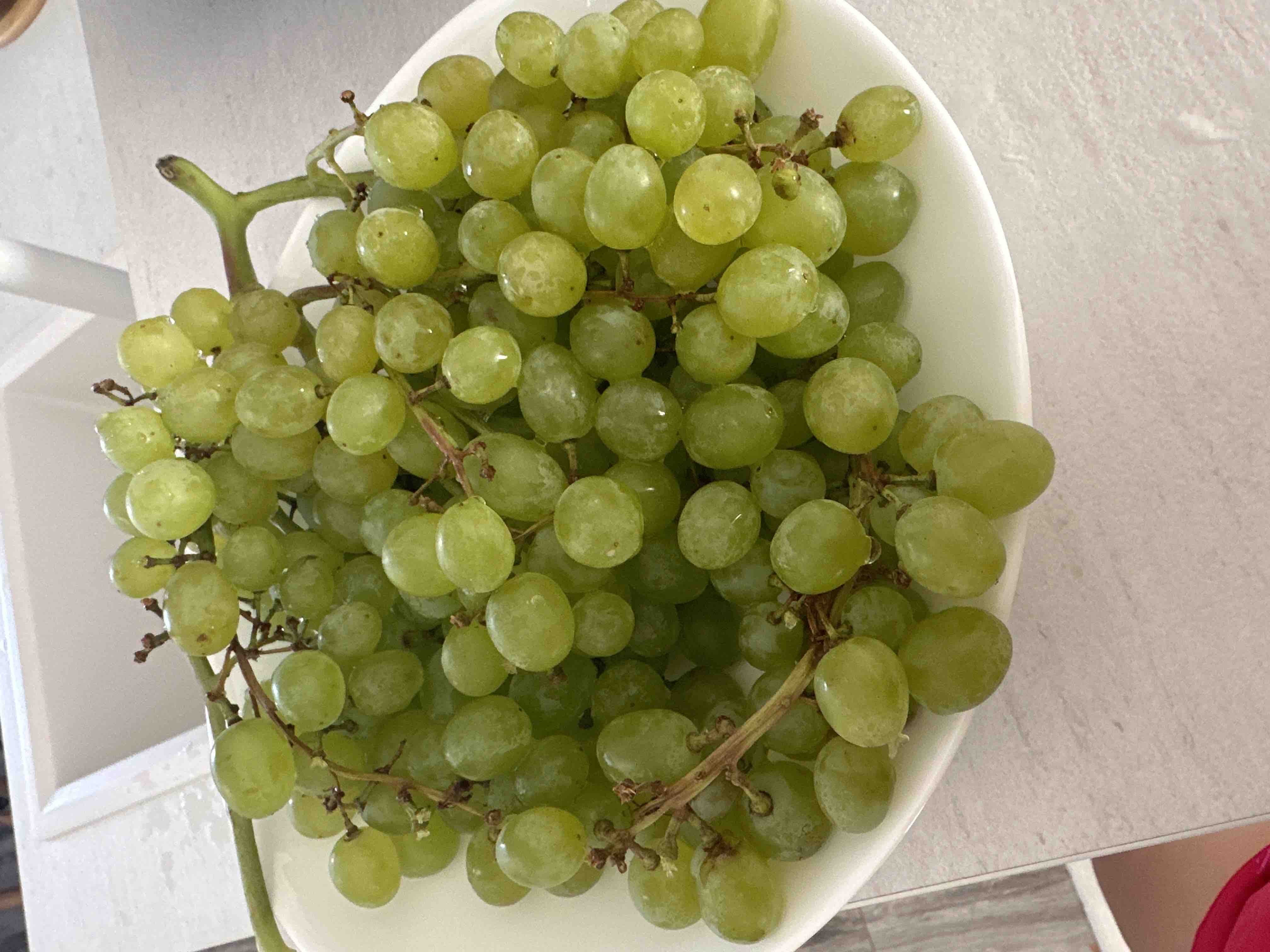 Как сделать домашнее вино из красного и белого винограда