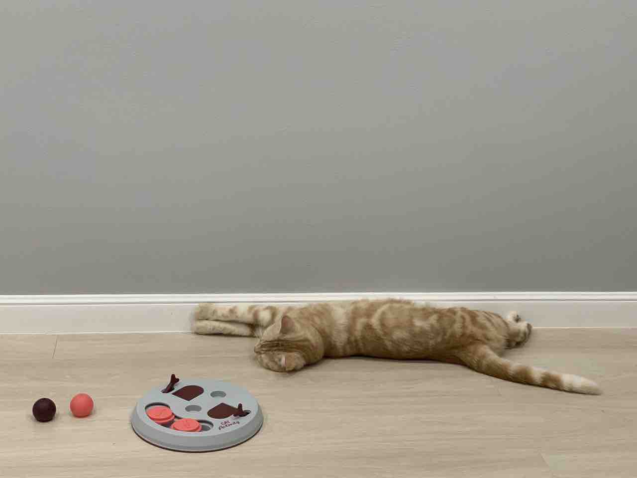 Развивающая игра для кошек Cat Activity Flip Board, розовый, светло-серый,  23 см - отзывы покупателей на маркетплейсе Мегамаркет | Артикул  товара:100027593499